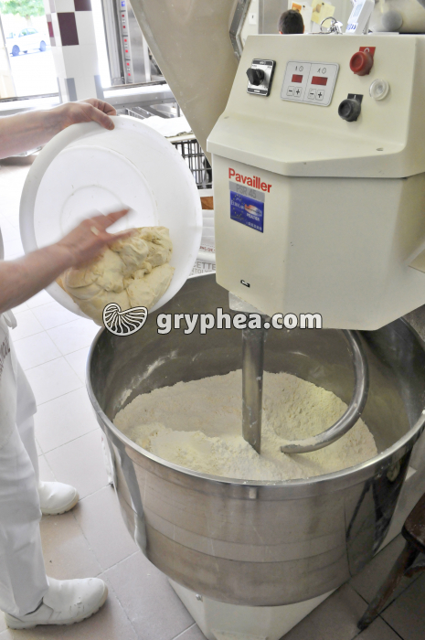 Fabrication du pain - Ajout du levain à la pâte à pain - gryphea.com